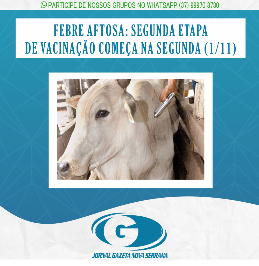 FEBRE AFTOSA: SEGUNDA ETAPA DE VACINAÇÃO COMEÇA NA SEGUNDA (1/11)