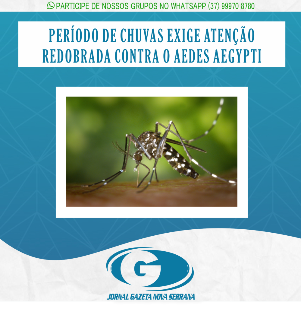 PERÍODO DE CHUVAS EXIGE ATENÇÃO REDOBRADA CONTRA O AEDES AEGYPTI