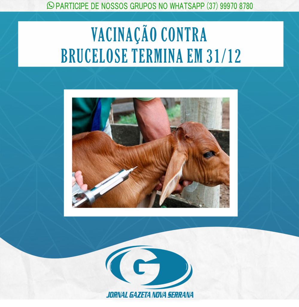 VACINAÇÃO CONTRA BRUCELOSE TERMINA EM 31/12