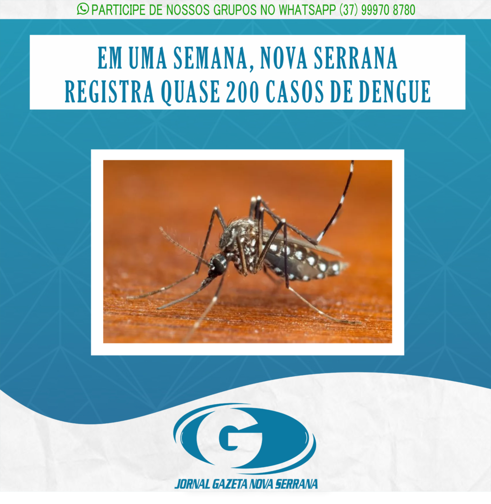 EM UMA SEMANA, NOVA SERRANA REGISTRA QUASE 200 CASOS DE DENGUE