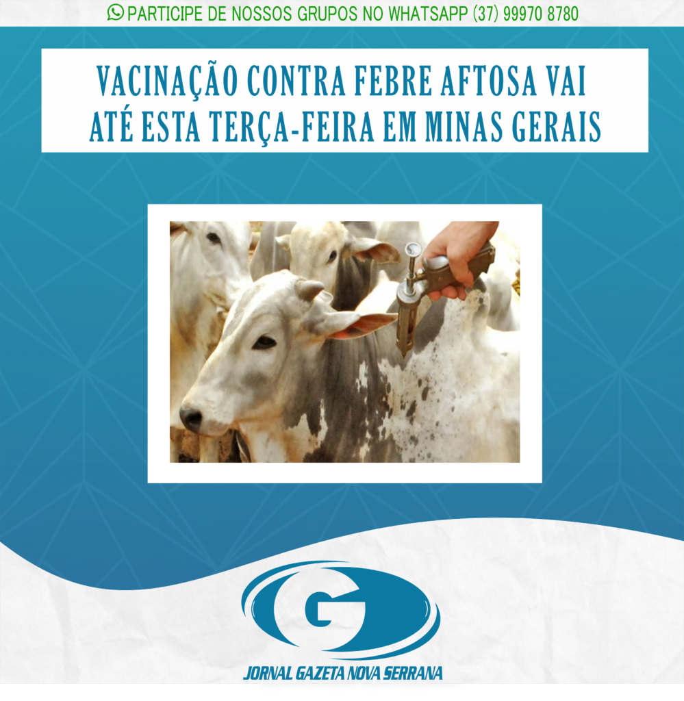 VACINAÇÃO CONTRA FEBRE AFTOSA VAI ATÉ ESTA TERÇA-FEIRA EM MINAS GERAIS