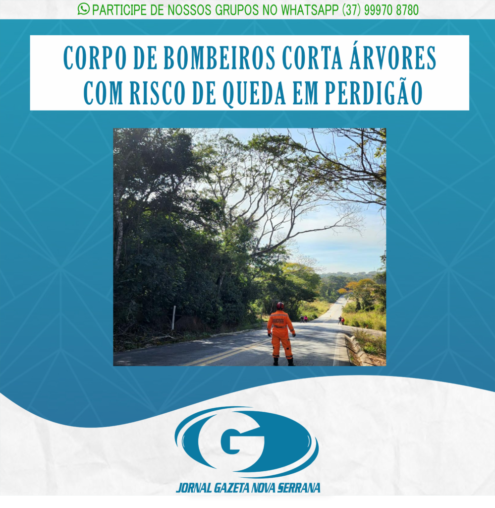 CORPO DE BOMBEIROS CORTA ÁRVORES COM RISCO DE QUEDA EM PERDIGÃO