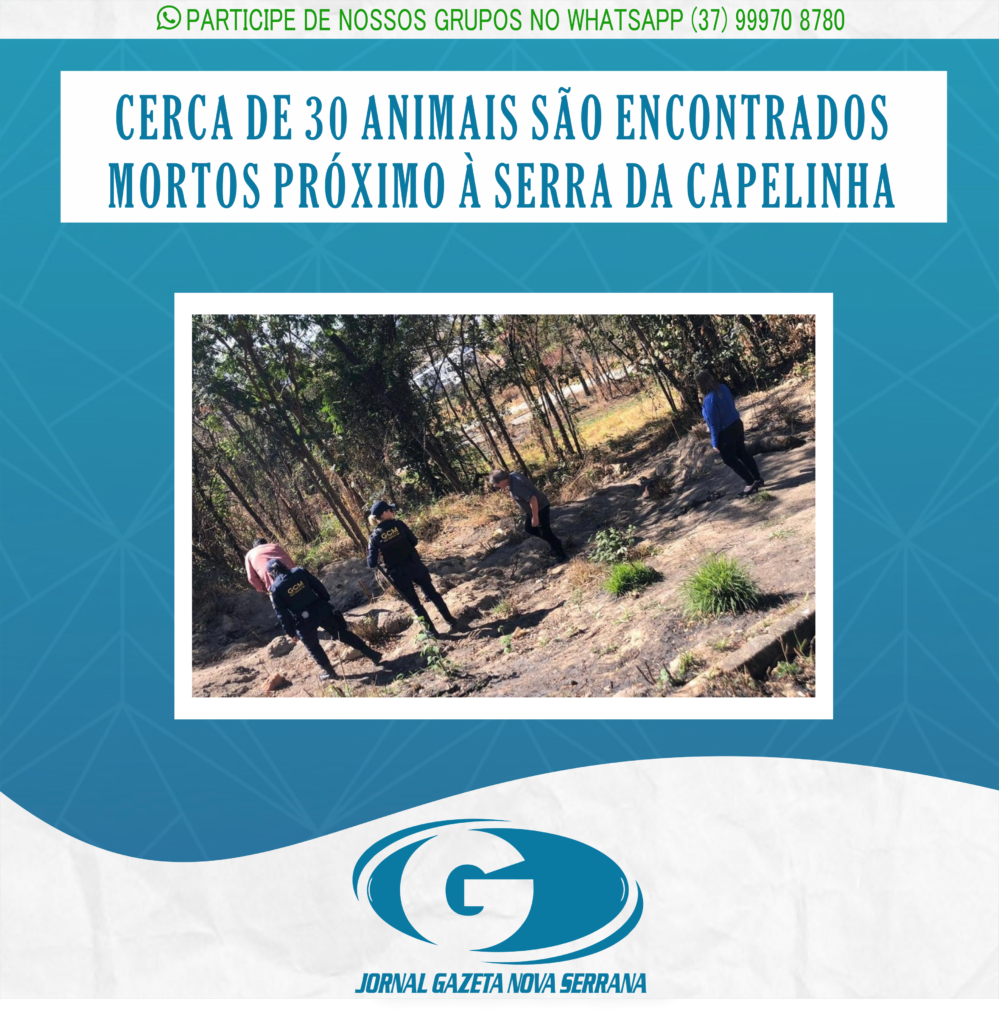 CERCA DE 30 ANIMAIS SÃO ENCONTRADOS MORTOS PRÓXIMO À SERRA DA CAPELINHA