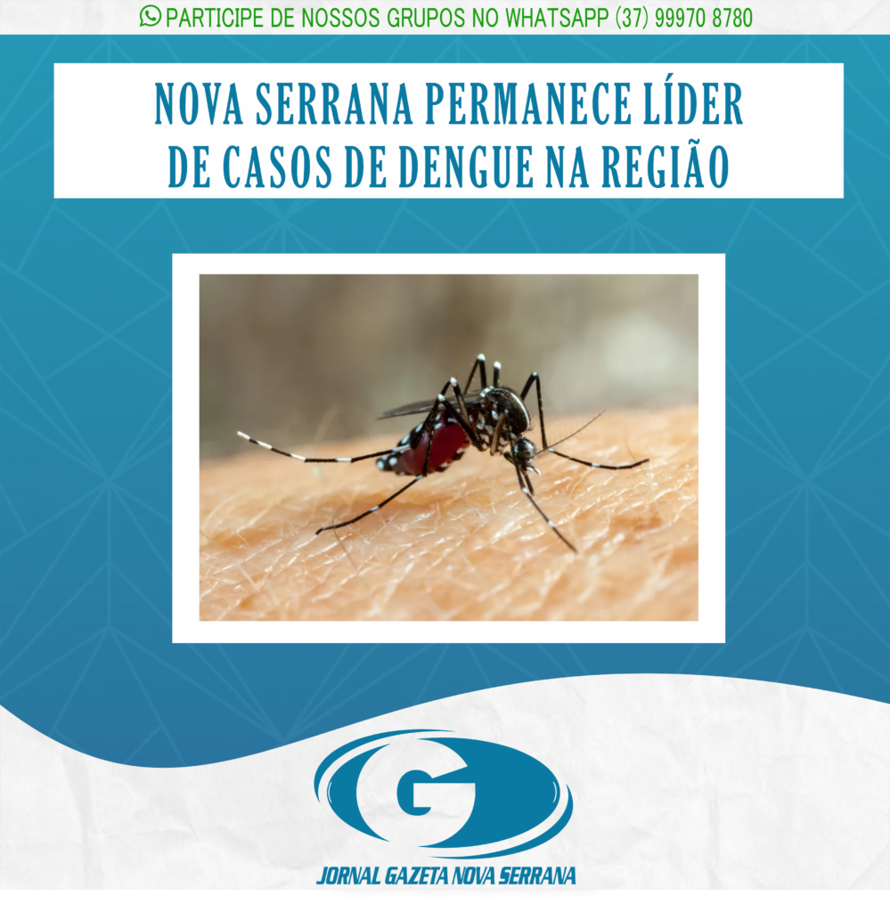 NOVA SERRANA PERMANECE LÍDER DE CASOS DE DENGUE NA REGIÃO
