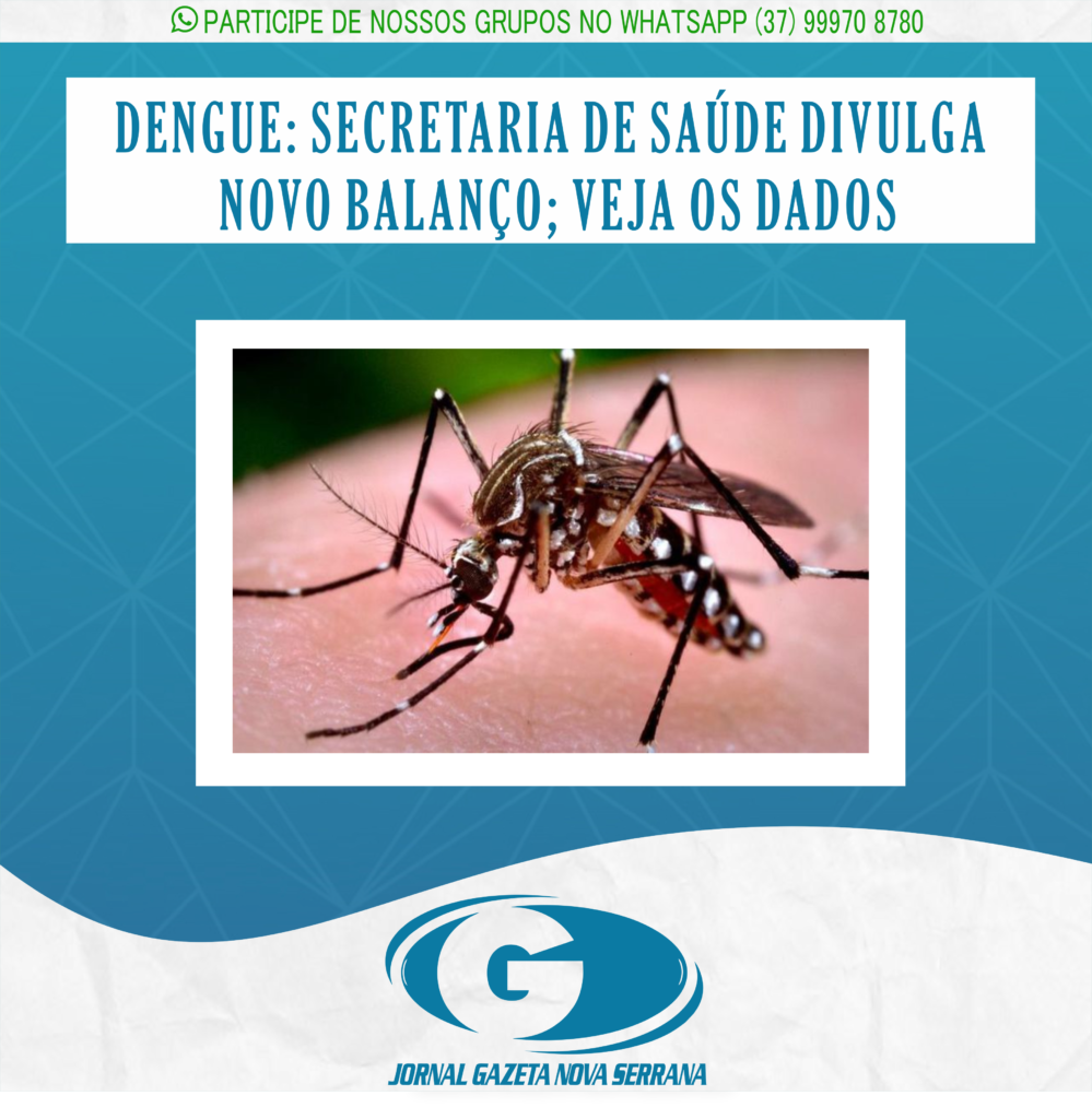 DENGUE: SECRETARIA DE SAÚDE DIVULGA NOVO BALANÇO; VEJA OS DADOS