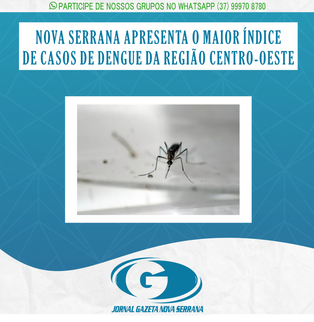 NOVA SERRANA APRESENTA O MAIOR ÍNDICE DE CASOS DE DENGUE DA REGIÃO CENTRO-OESTE