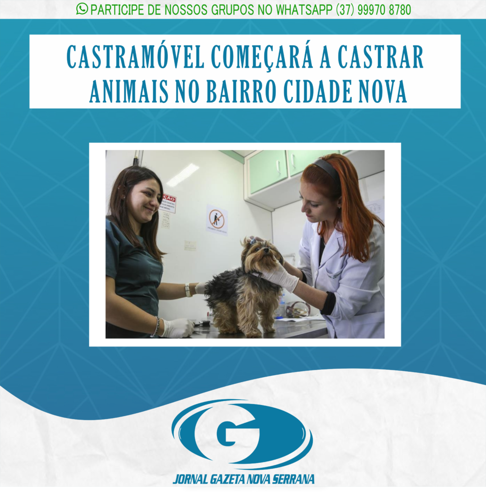 CASTRAMÓVEL COMEÇARÁ A CASTRAR ANIMAIS NO BAIRRO CIDADE NOVA