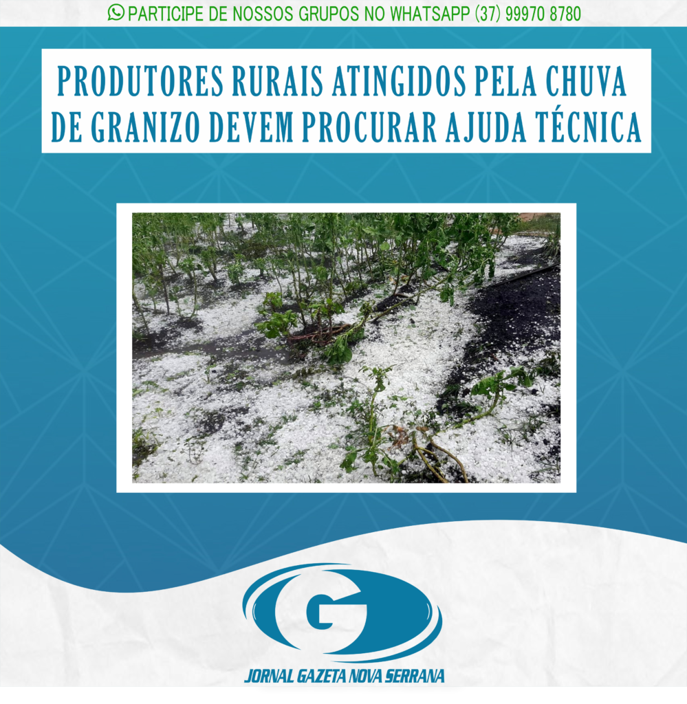 PRODUTORES RURAIS ATINGIDOS PELA CHUVA DE GRANIZO DEVEM PROCURAR AJUDA TÉCNICA