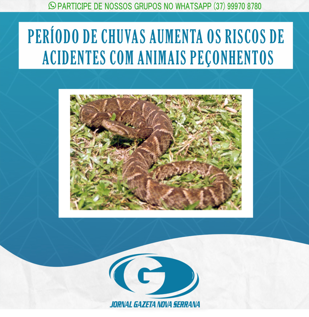PERÍODO DE CHUVAS AUMENTA OS RISCOS DE ACIDENTES COM ANIMAIS PEÇONHENTOS