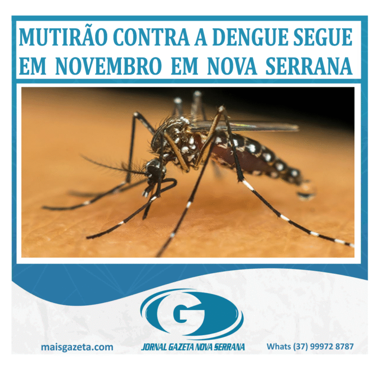 MUTIRÃO CONTRA A DENGUE SEGUE EM NOVEMBRO EM NOVA SERRANA